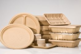 Disposable Plates Different Size
